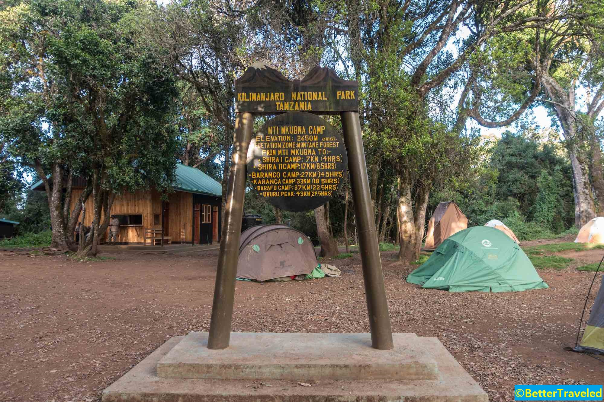 Day 2: Mti Mkubwa Camp